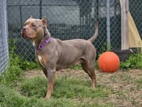 Barb - Photo 4