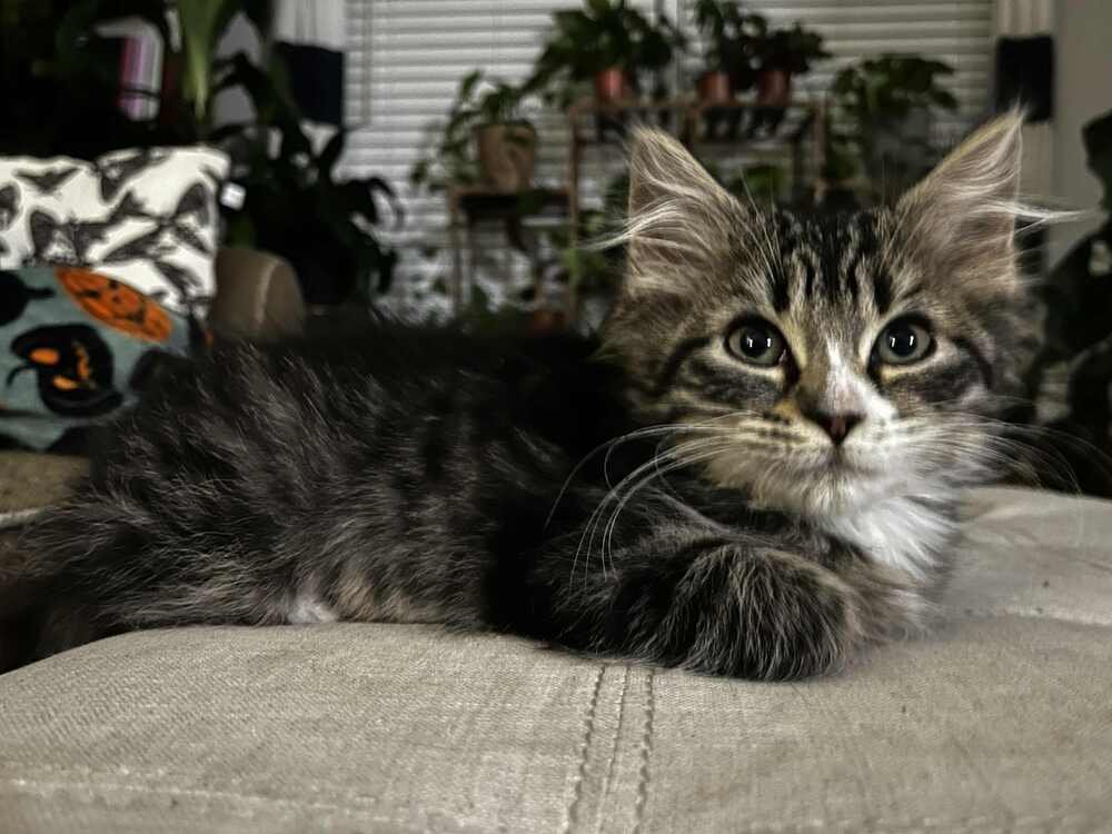 Grumpy Bear - Photo 3