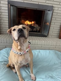 Frieda - Photo 1