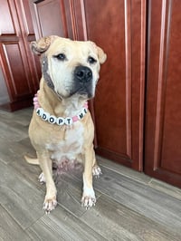 Frieda - Photo 2