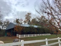 Barn Cat/Mouser - Photo 4