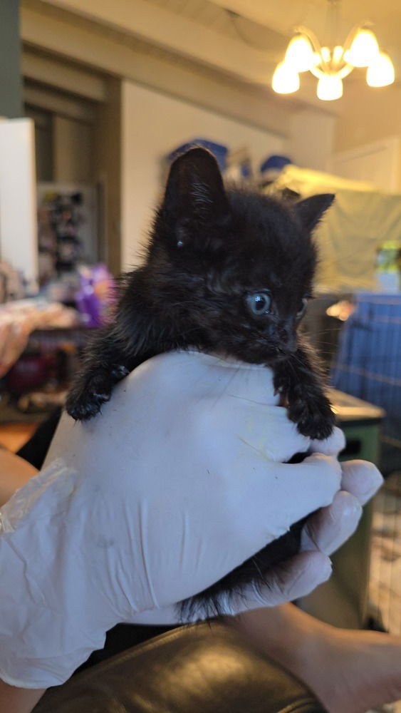 CATHAY PACIFIC AIRWAYS