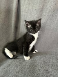 Thelma - Photo 3