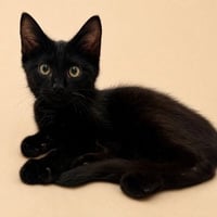 Claude26 - Photo 2