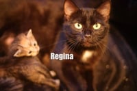 Mama Regina - Photo 3