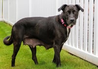 Mama Tilly - Photo 3