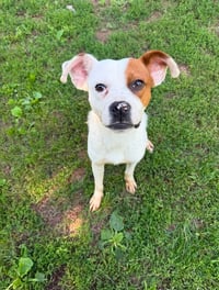 Steve - Photo 3