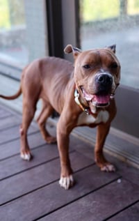 Nyla - Photo 2