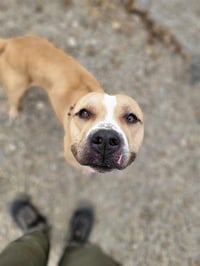 ARLO - Photo 1