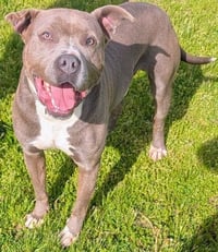 CLYDE - Photo 1