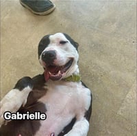 GABRIELLE - Photo 1