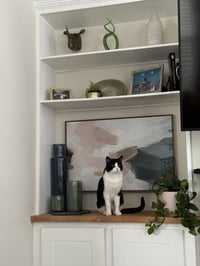 Mike - Photo 4