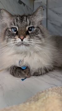 Charlie - Photo 5