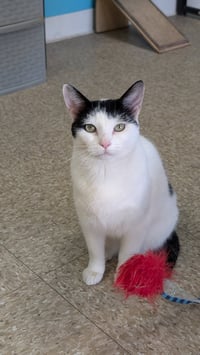 Ori - Photo 10