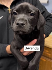 JACENDIA - Photo 1