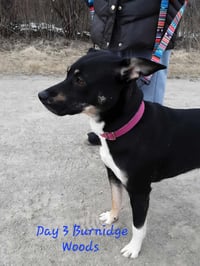 ZURI - Photo 5