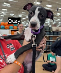 Quay - Photo 2