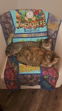 CAT - FAITH - Photo 4