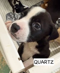 Quartz - Photo 4