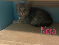 Nora - Photo 1