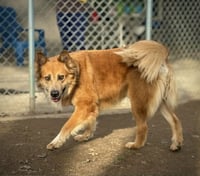 PB - Photo 3