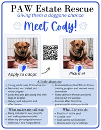 Cody - Photo 5