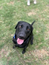 Chance - Photo 1