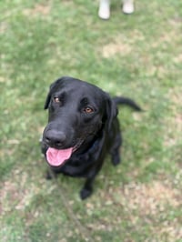Chance - Photo 3
