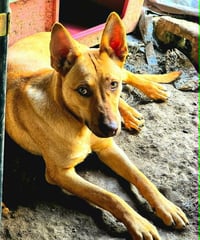 Nachito - Photo 2