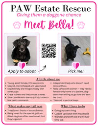 Bella - Photo 3