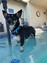 Penelope - Photo 6