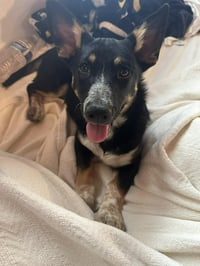 Penelope - Photo 5