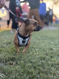 Max - Photo 3