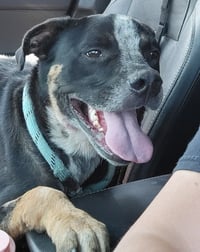 Cisco - Photo 2