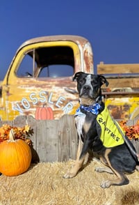 Cisco - Photo 5