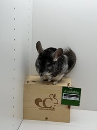 Jerome - Photo 2