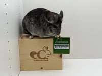 Soda - Photo 4