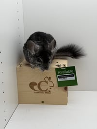 Mr. Chin Chee - Photo 4