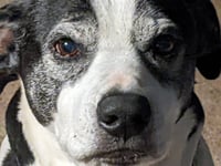 Maggie Jane - Photo 3