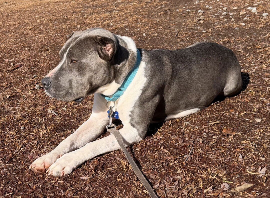 Freya Walton - Photo 3