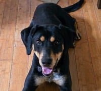Jack Jack - Photo 3