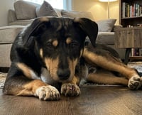 Skeeter Bartow - Photo 1