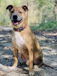 Roscoe - Photo 3