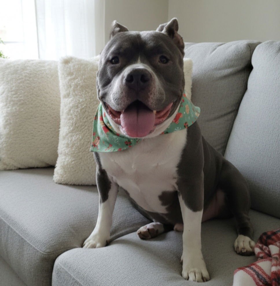 Spike Little - Photo 3