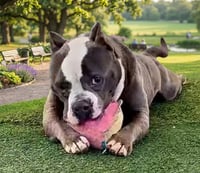Big Boy - Photo 1