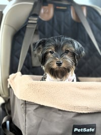 Luna - Photo 10