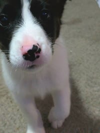 Peach - Photo 25