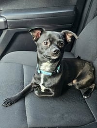 Sammie - Photo 11