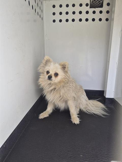 A167947 Image