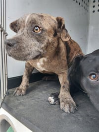 A170692 - Photo 1